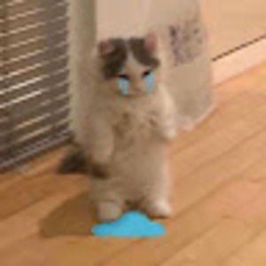 Meet your Posher, Aracely